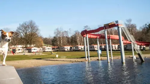 Familie Gillis: massa is kassa