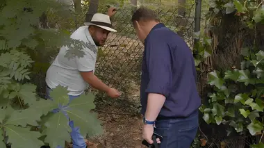 Familie Gillis: massa is kassa