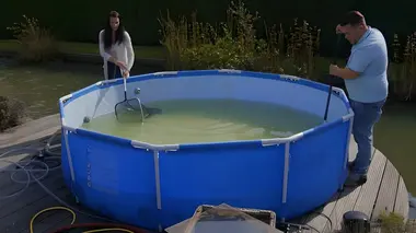 Familie Gillis: massa is kassa