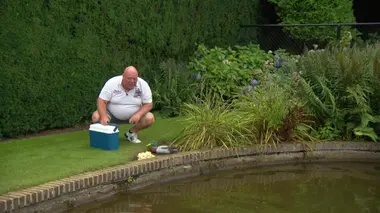 Familie Gillis: massa is kassa