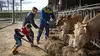 Bienvenue à la ferme