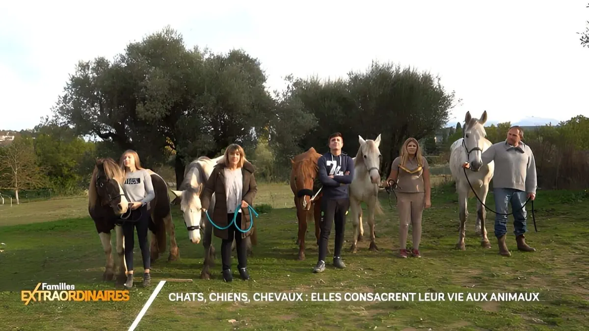 Familles extraordinaires S01E08 Chats, chiens, chevaux : elles consacrent leur vie aux animaux