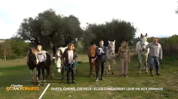 Sur Gulli à 22h40 : Familles extraordinaires
