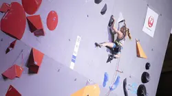 Fanny Gibert, l'histoire d'une quête