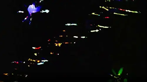 Fantaisie sur quatre cordes