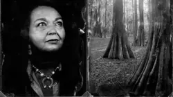 Far West, l'histoire oubliée