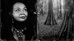 Far West, l'histoire oubliée