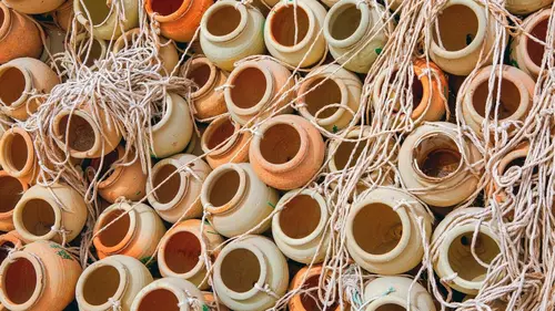 Fascinant Maghreb Tunisie, le Nord