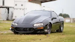 Fast cars : les rois de l'asphalte