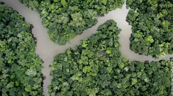 Faune d'Amérique Latine