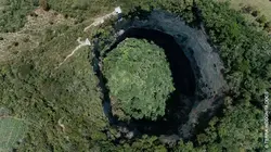 Faune d'Amérique Latine