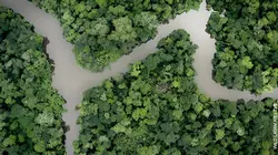 Faune d'Amérique Latine