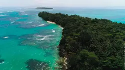 Faune d'Amérique Latine Les Caraïbes