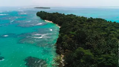 Faune d'Amérique Latine Les Caraïbes