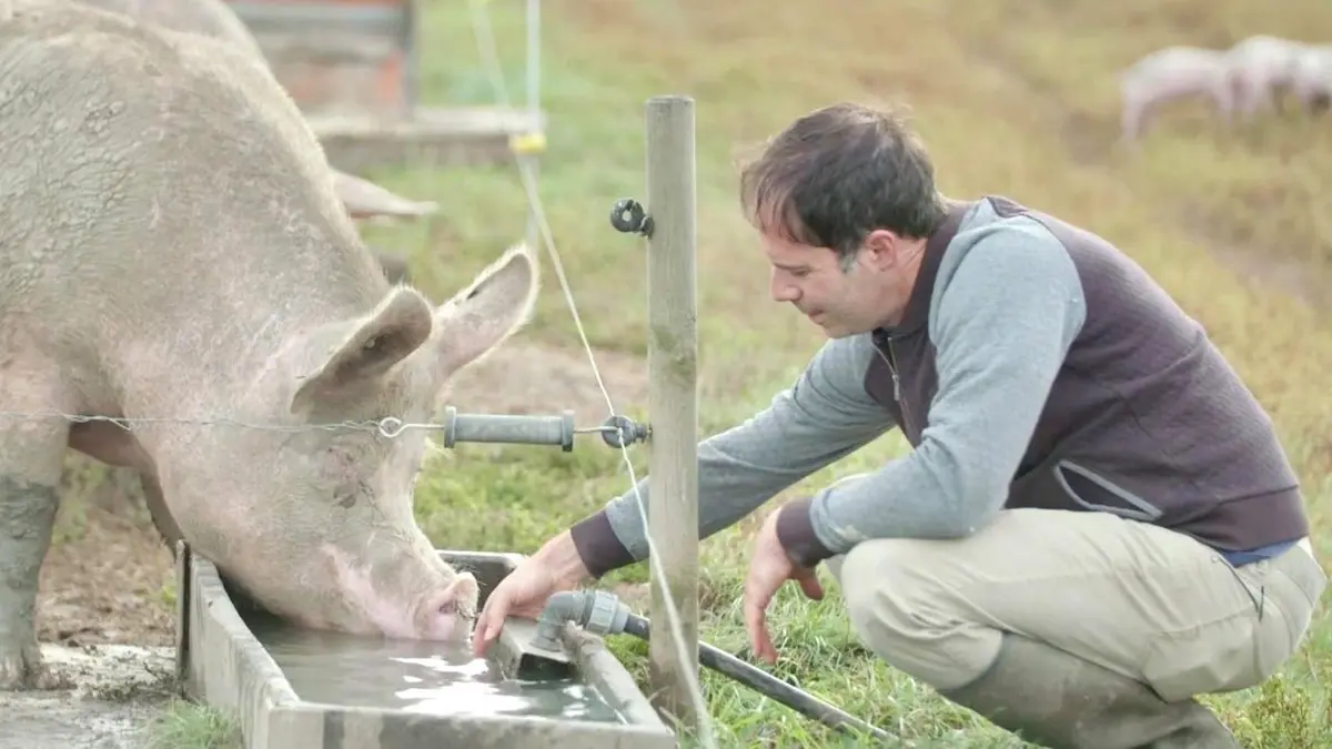 Faut-il arrêter de manger les animaux ?