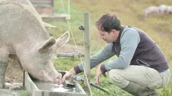 Faut-il arrêter de manger les animaux ? Faut-il arrêter de manger les animaux ?