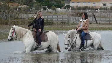 Faut pas rêver Camargue, beauté sauvage