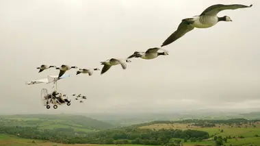 Faut pas rêver En Auvergne, au pays des volcans