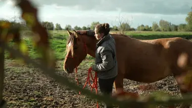 Faut pas rêver Secrète Picardie