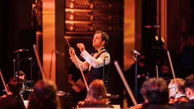 Fauteuils d'orchestre