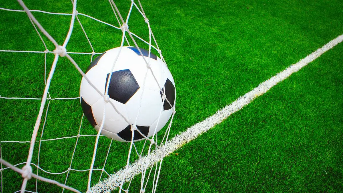 FC Arouca / Benfica Lisbonne Football Championnat du Portugal 2021/2022