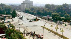 FD65 : unité spéciale anti-crime organisé Les femmes