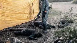 Fear The Walking Dead S05E07 Toujours debout