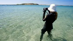 Visuel de Femmes de la mer