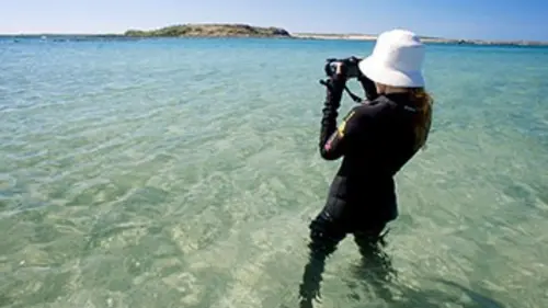 Femmes de la mer E03 Au secours des coraux
