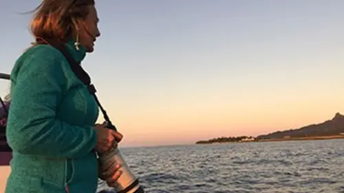 Femmes de la mer E01 Au secours des baleines