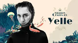 Festival des Vieilles Charrues