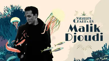 Festival des Vieilles Charrues Malik Djoudi en concert aux Vieilles Charrues