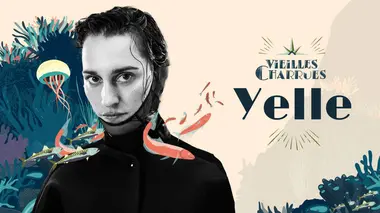 Festival des Vieilles Charrues Yelle