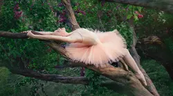 Finale du Style & Colour Trophy