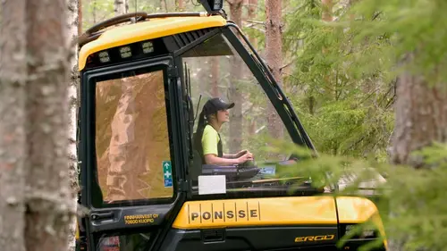 Finlande, l'été des mille lacs