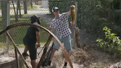 Fish My City  Le poisson le plus vif de Miami