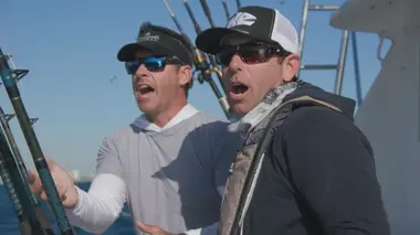 Le poisson le plus vif de Miami