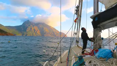 Une fleur en Extrême-Orient