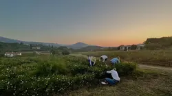 Sur France 3 à 22h40 : Fleurs à parfum, retour en Grasse