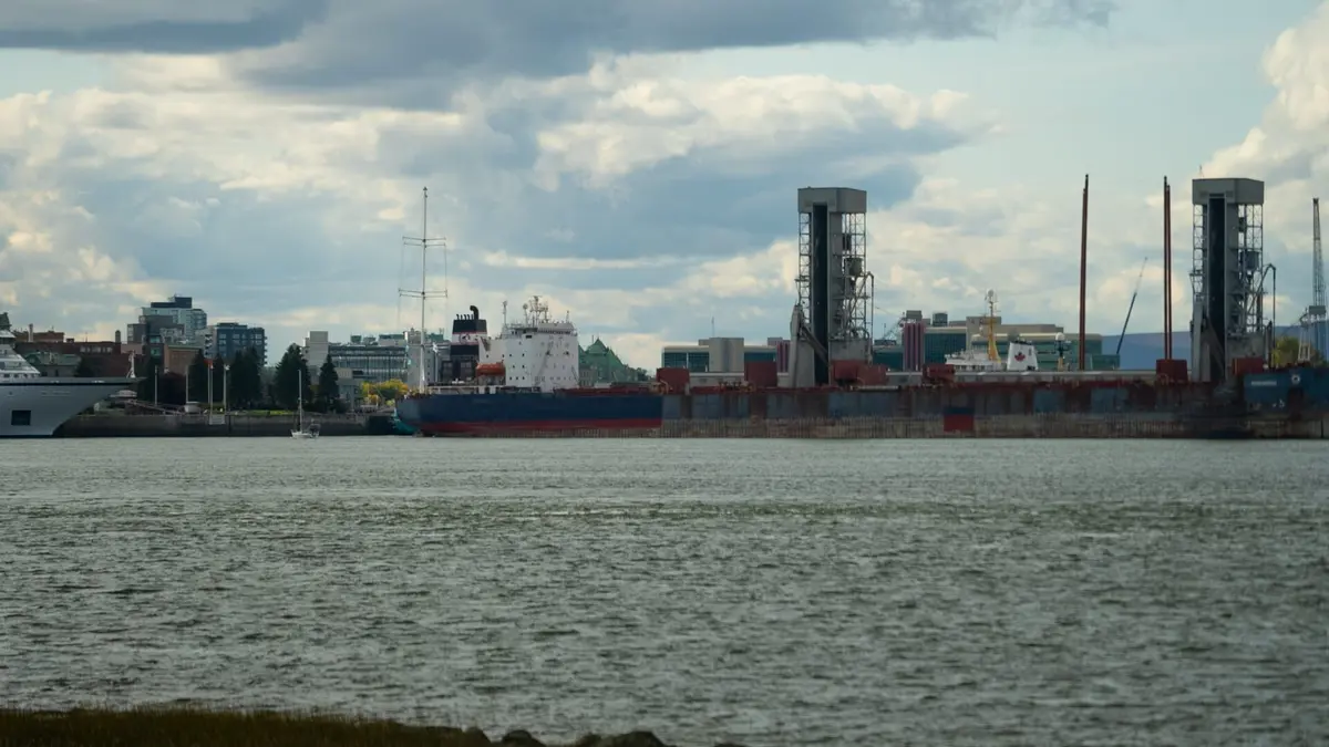 Fleuve en eaux troubles Crabe des neiges et baleine noire