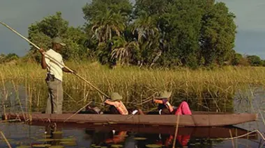 Okavango, le fleuve animal