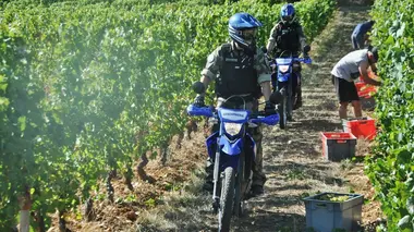 Flic story Gendarmes de Normandie - Episode 4