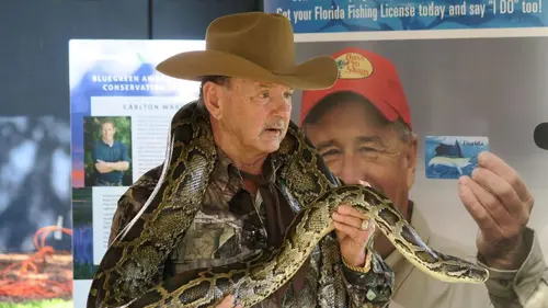 Floride, la guerre des python