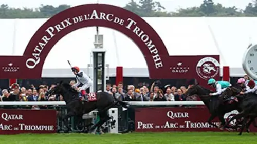 Fly Away (rétro courses 2015)