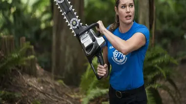 La forêt désenchantée