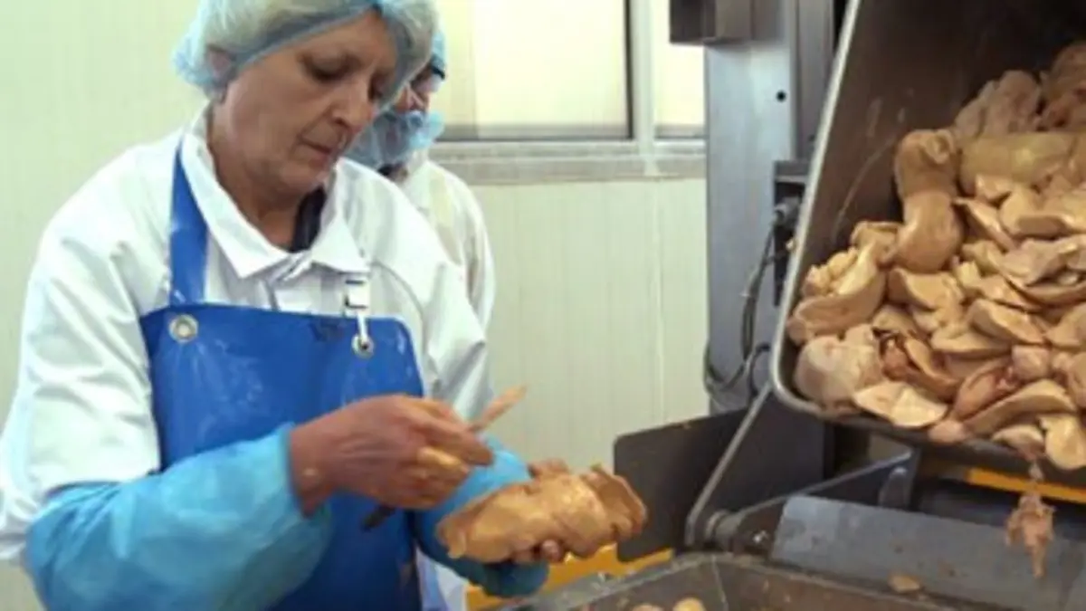 Foie gras, une tradition en péril