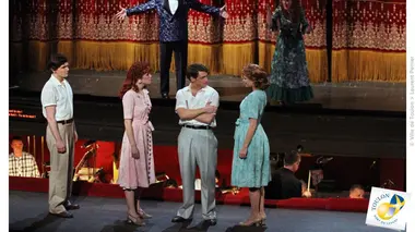 Follies