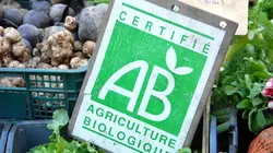 Food 3.0 E02 Bio food