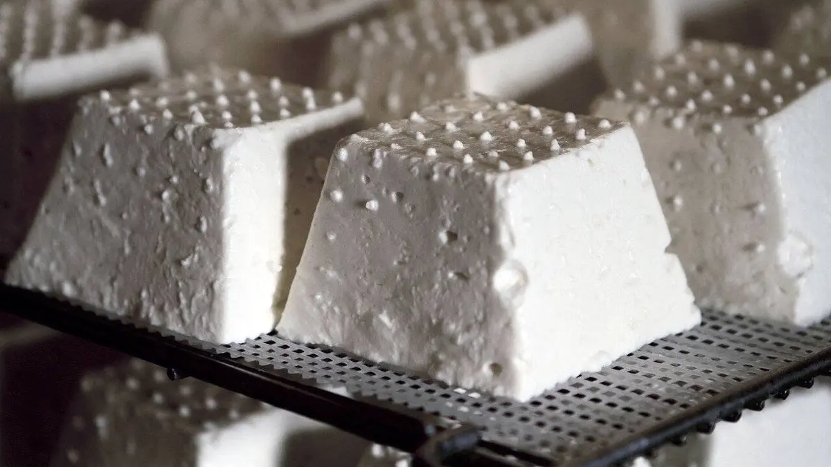 Food 3.0 E02 Bio food