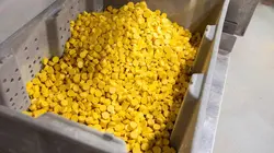 Food Factory La soupe d'Andy Warhol